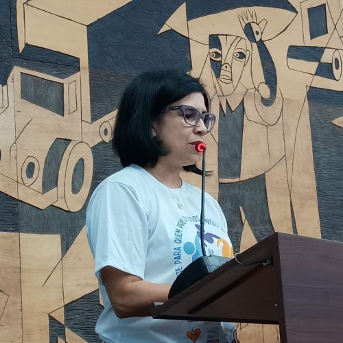 Observatório da Inclusão discursa no plenário da Câmara