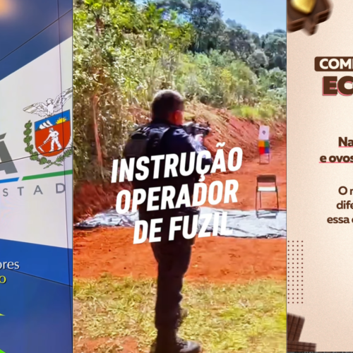 Ponta Grossa avança em novos investimentos no agronegócio