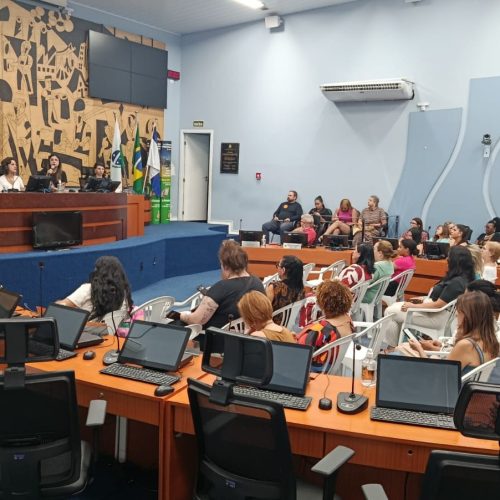Audiência pública debate proteção e defesa das mulheres